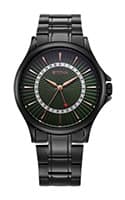 Titan Karishma Quartz Analog with Date Green Dial Stainless Steel Strap Watch For Men 10038NM01