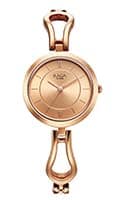 Titan Raga Quartz Analog Rose Gold Dial Rose Gold Metal Strap Watch For Women (2727WM01)