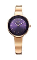 Titan Raga Showstopper Quartz Analog Purple Dial Metal Strap Watch for Women 95276WM01