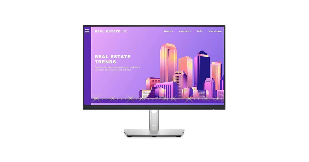 Dell P2422H 24" Full HD IPS Monitor