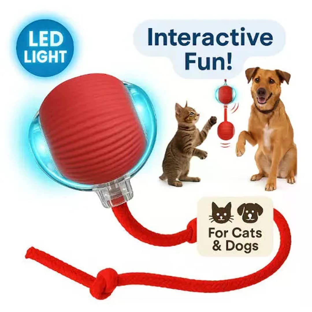 Automatic Rolling Ball Smart Cat Dog Toy