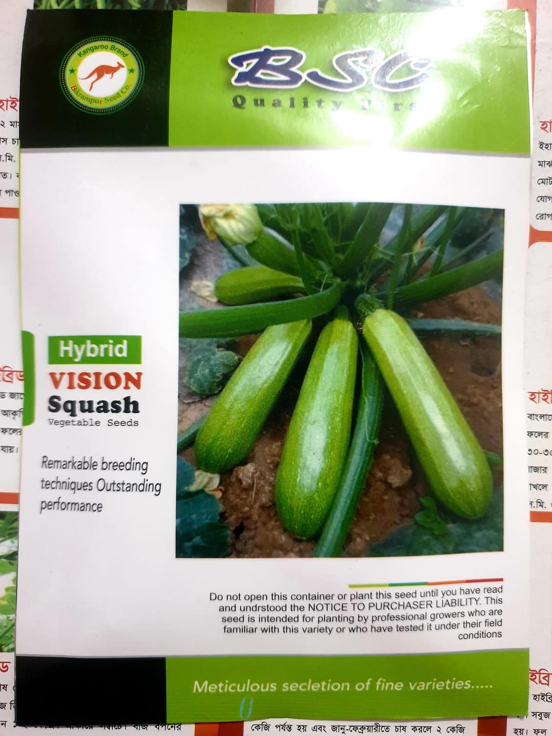 Hybrid Vision Squash Seeds 10 Gm