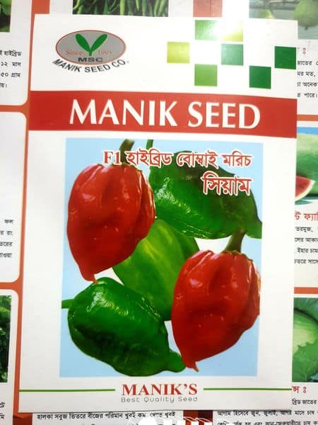 F1 Hybrid bombai Naga Chili Seeds