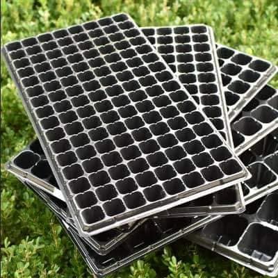 Seed Tray