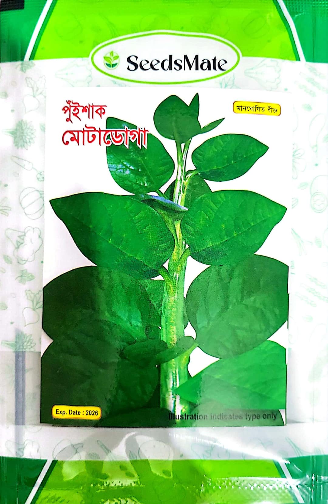 Green Malabar Spinach Seeds / green Pui Sakh Seeds – 10 gm