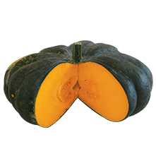 Hybrid Pumpkin Monica হাইব্রিড মিষ্টি কুমড়া মনিকা – 10 GM