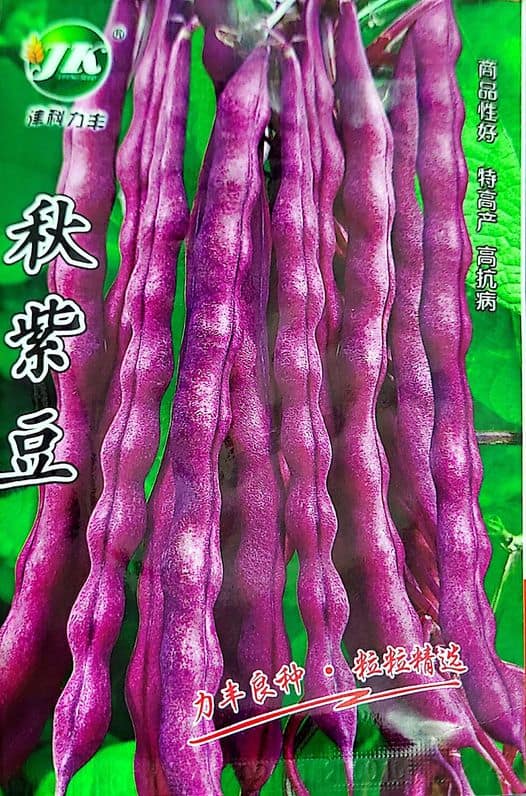 JK French Purple Bean seeds- 10 GM 130 TK