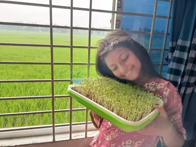 Microgreens tray / Microgreens Kit Family pack মাইক্রো গ্রিনস ট্রেমাইক্রো গ্রিনস কিট