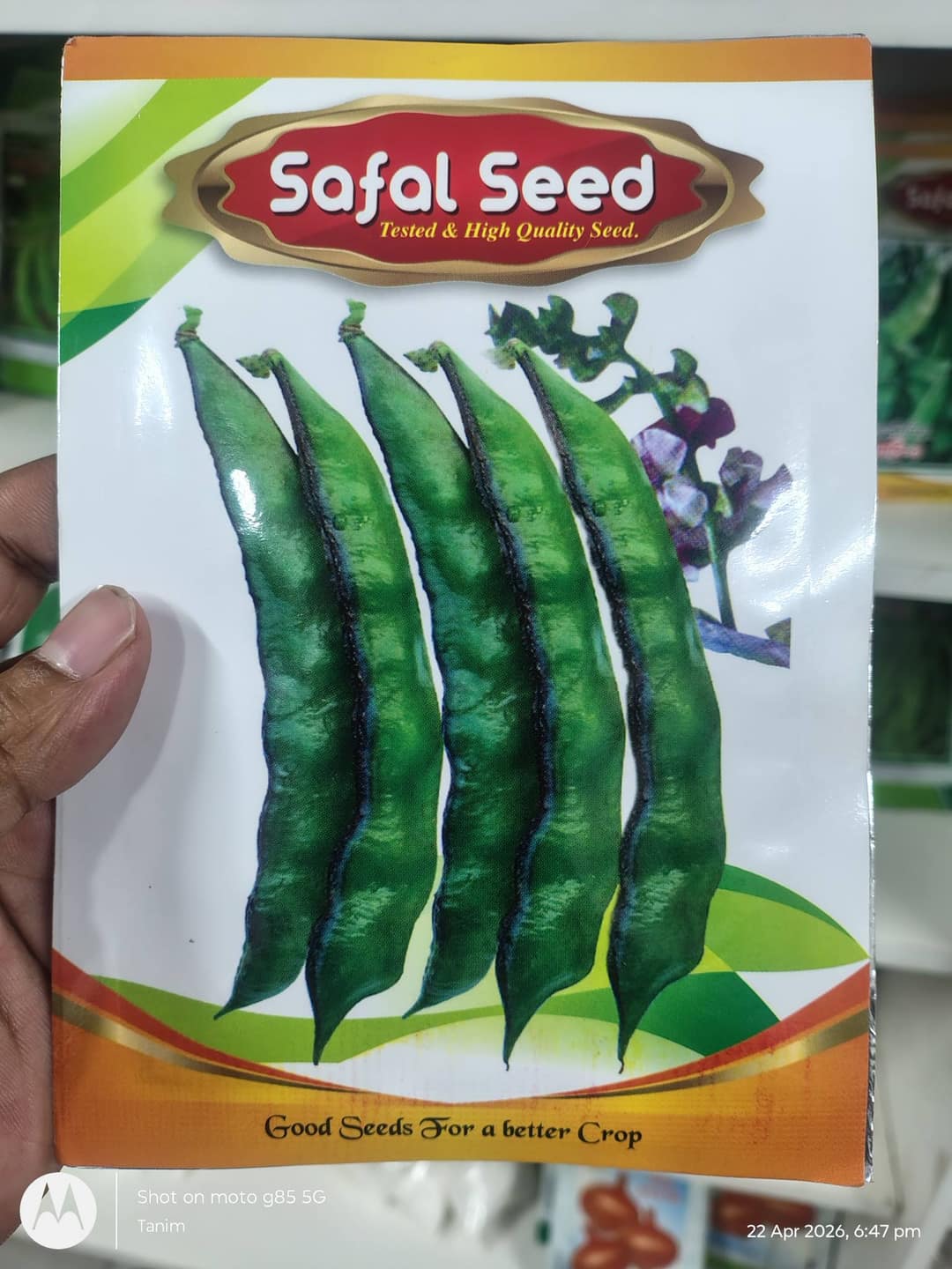 নলডগ শিম উচ্চ ফলনশীল বীজ