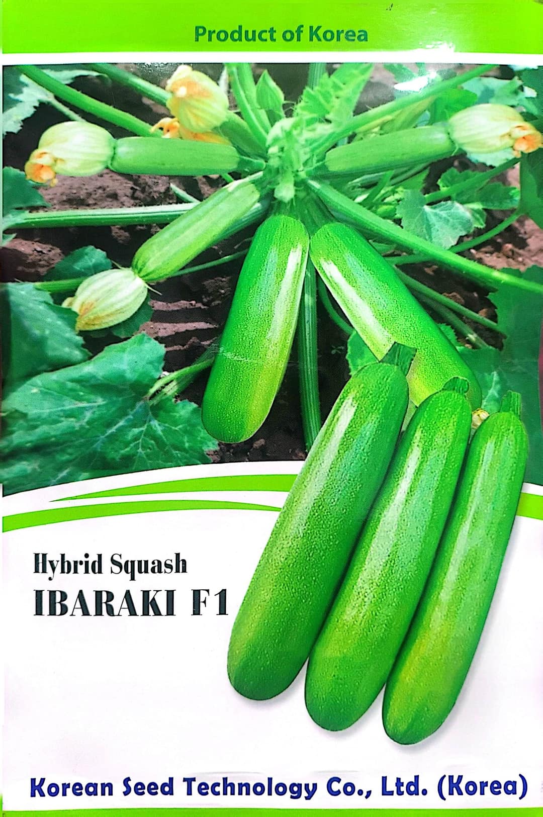 Hybrid Squash IBARAKI F1 Product of Korea 5 GM