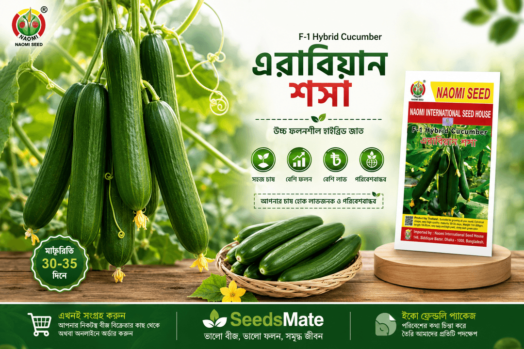 Arabian Cucumber Seeds (High Yield Variety) | Commercial Farming & Home Gardening | এরাবিয়ান শসা খুব ভালো ফলন হয়ে থাকে বাণিজ্যিক ভাবে চাষ উপযোগী
