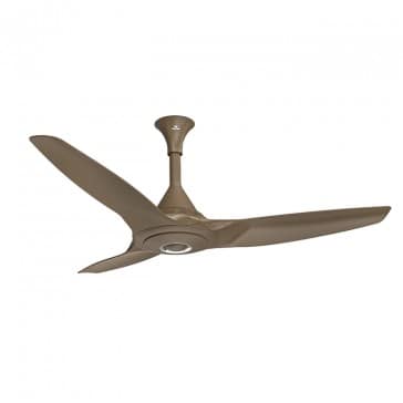 Walton GLORIA CEILING FAN (50")