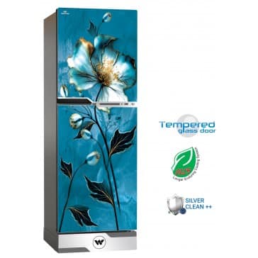 Walton WFB-2B6-GDEH-XX Direct Cool Refrigerator
