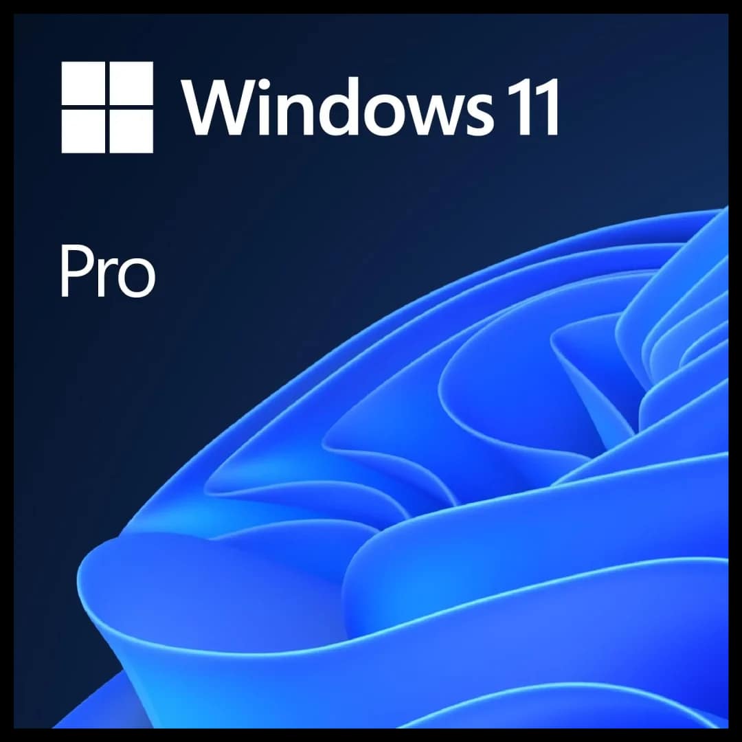 Microsoft Windows 11 Professional 64 Bit ENG Intl 1PK DSP OEI DVD