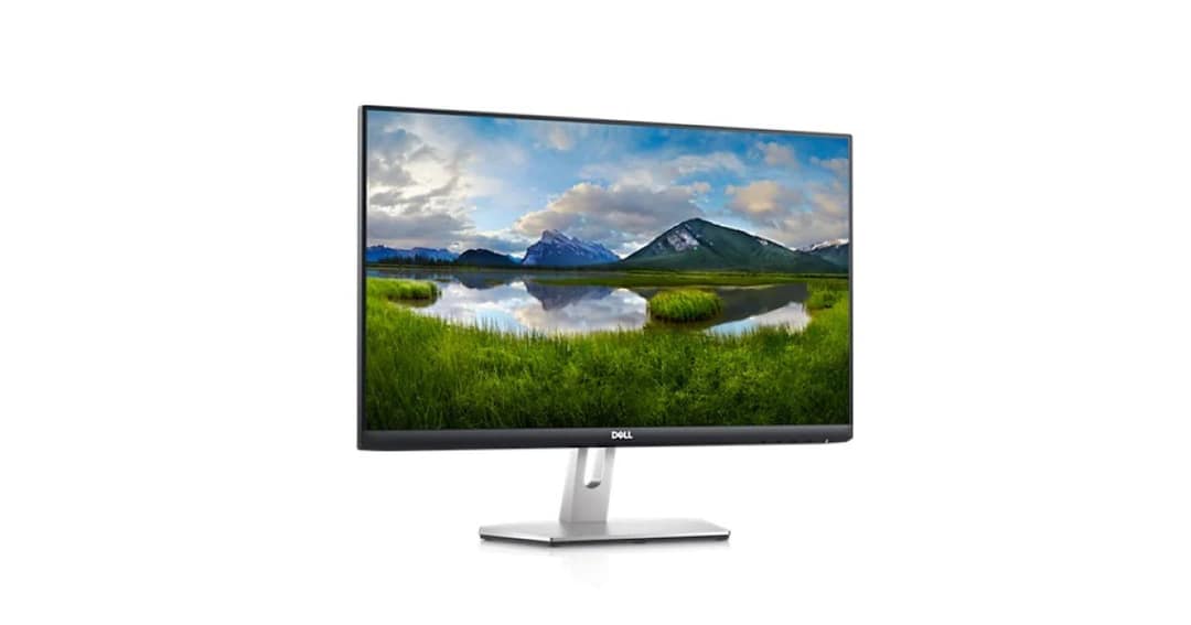 Dell S2421HN 24'' IPS AMD FreeSync Full HD Monitor